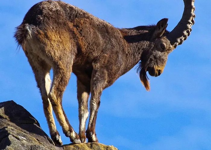 Apartament Reverie Urbaine 3 Etoiles - 3 Chambres, Plein Centre, Moderne, Tout Equipe Annecy